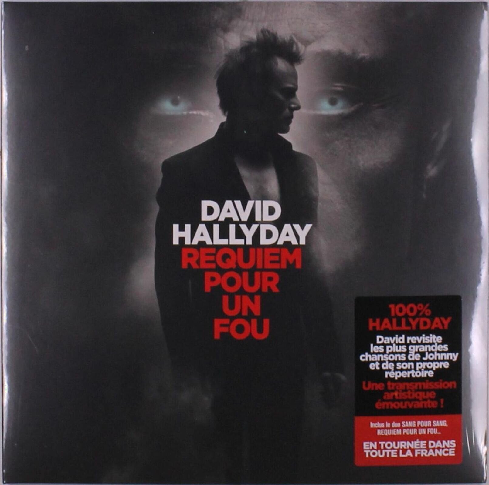 Vinyl Record David Hallyday - Requiem Pour Un Fou (2 LP)