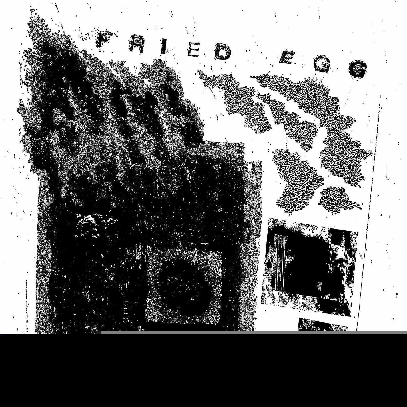 Vinyl Record Fried Egg - Square One (LP)