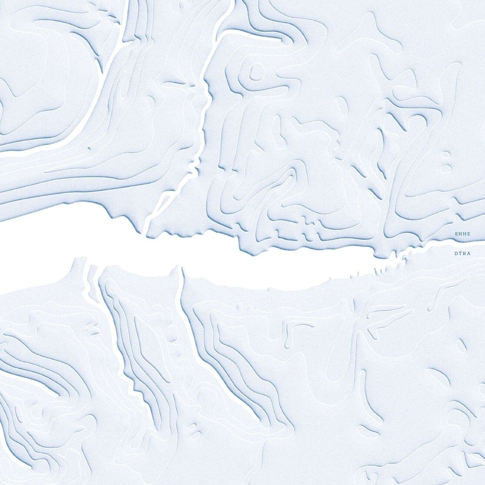 Vinyl Record Shhe - DÝRA (LP)