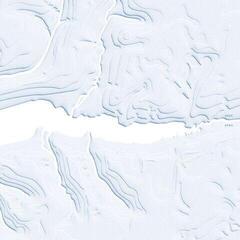 Vinyl Record Shhe - DÝRA (LP)