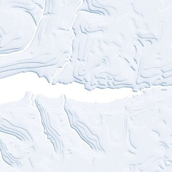 Vinyl Record Shhe - DÝRA (LP) - 1