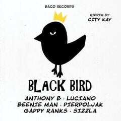 LP ploča Various Artists - Black Bird Riddim By City Kay (LP)