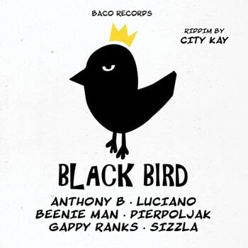 LP ploča Various Artists - Black Bird Riddim By City Kay (LP) - 1