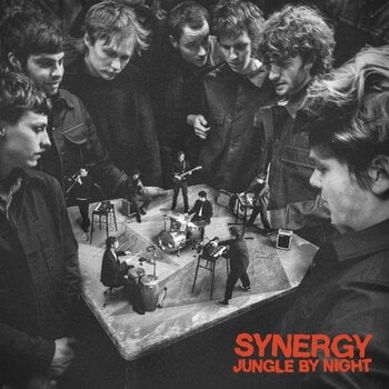 Schallplatte Jungle By Night - Synergy (2 LP) - 1