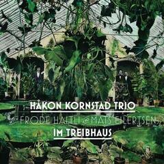 Vinyl Record Kornstad Trio - Im Treibhaus (LP)