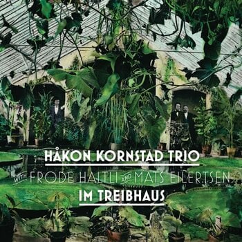 Vinyl Record Kornstad Trio - Im Treibhaus (LP) - 1