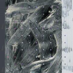 Disco de vinil Orcas - How To Colour A Thousand Mistakes (LP)