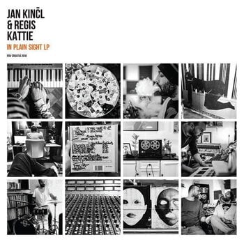 Disque vinyle Jan Kincl & Regis Kattie - In Plain Sight (Numbered) (LP) - 1