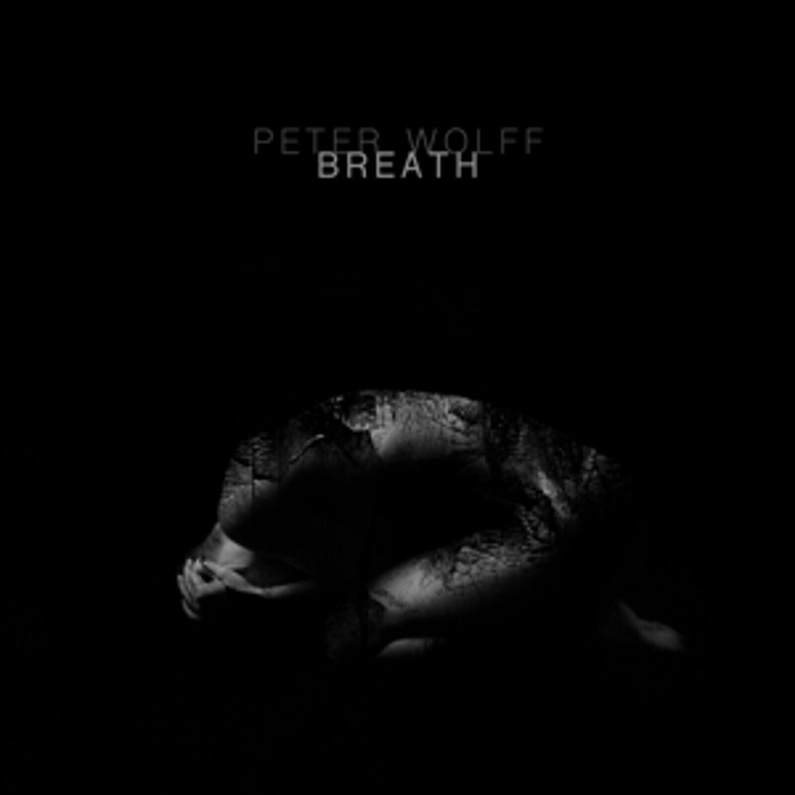 LP ploča Peter Wolff - Breath (2 LP)