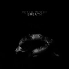 Vinylplate Peter Wolff - Breath (2 LP)