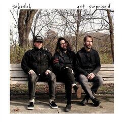Грамофонна плоча Sebadoh - Act Surprised (White Coloured) (LP)