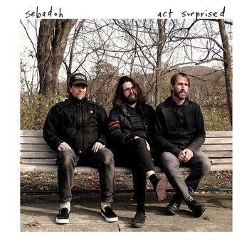 Грамофонна плоча Sebadoh - Act Surprised (White Coloured) (LP) - 1