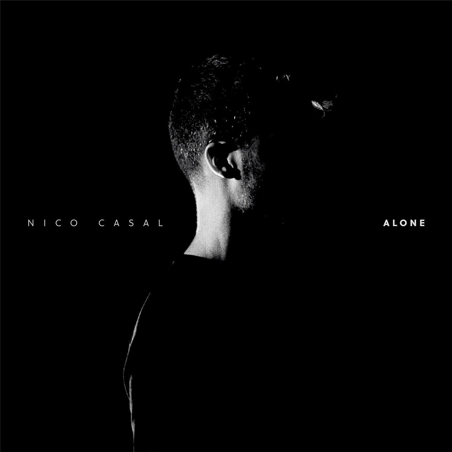 Vinyl Record Nico Casal - Alone (LP)