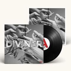 Vinyl Record Hayden Thorpe - Diviner (Limited Edition) (180 g) (LP)