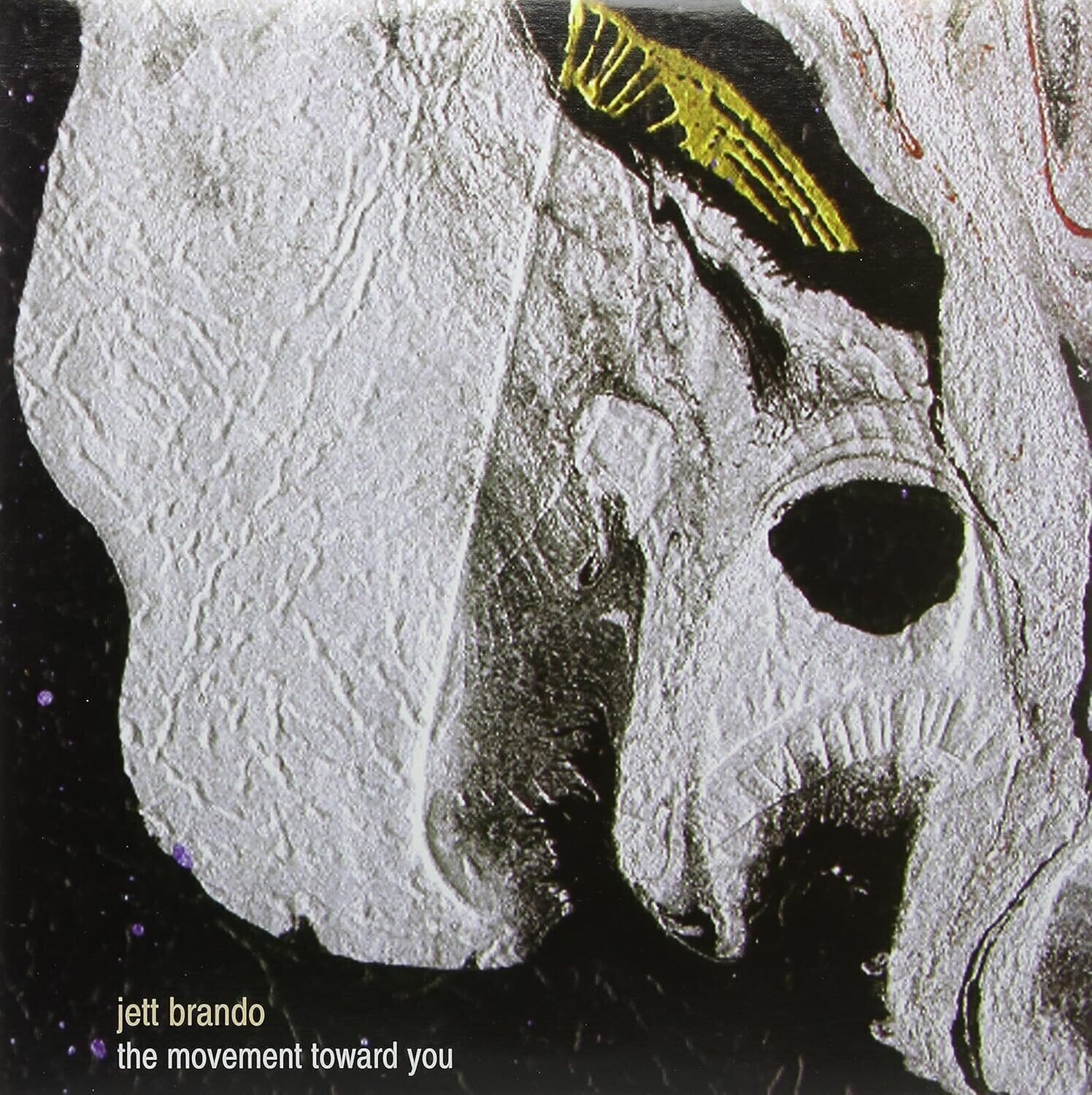 Vinyl Record Jett Brando - The Movement Toward You (LP)