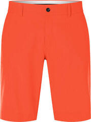Kjus Inaction Shorts Herren Orange