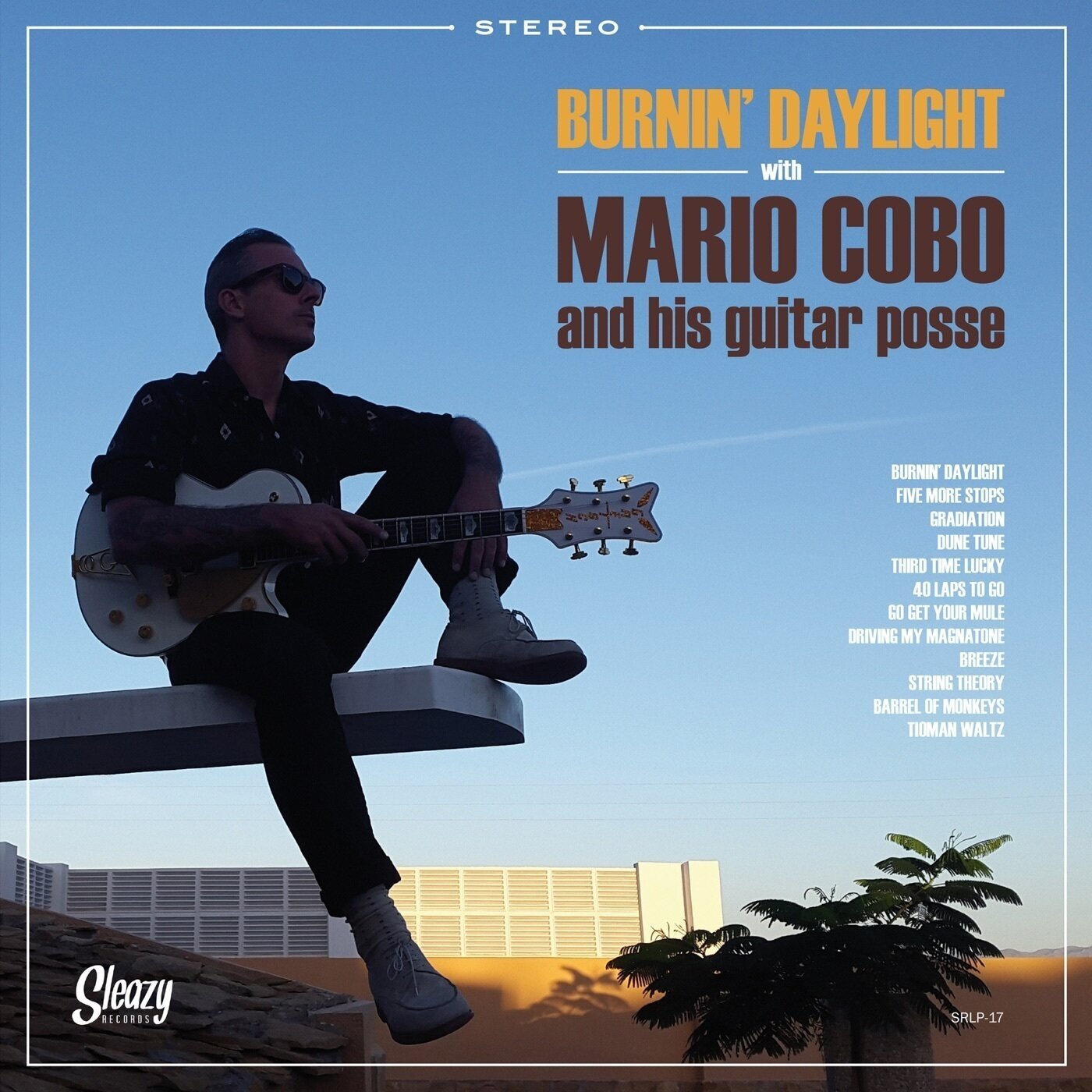 LP deska Mario Cobo - Burnin' Daylight With Mario Cobo And His Guitar Posse (LP)