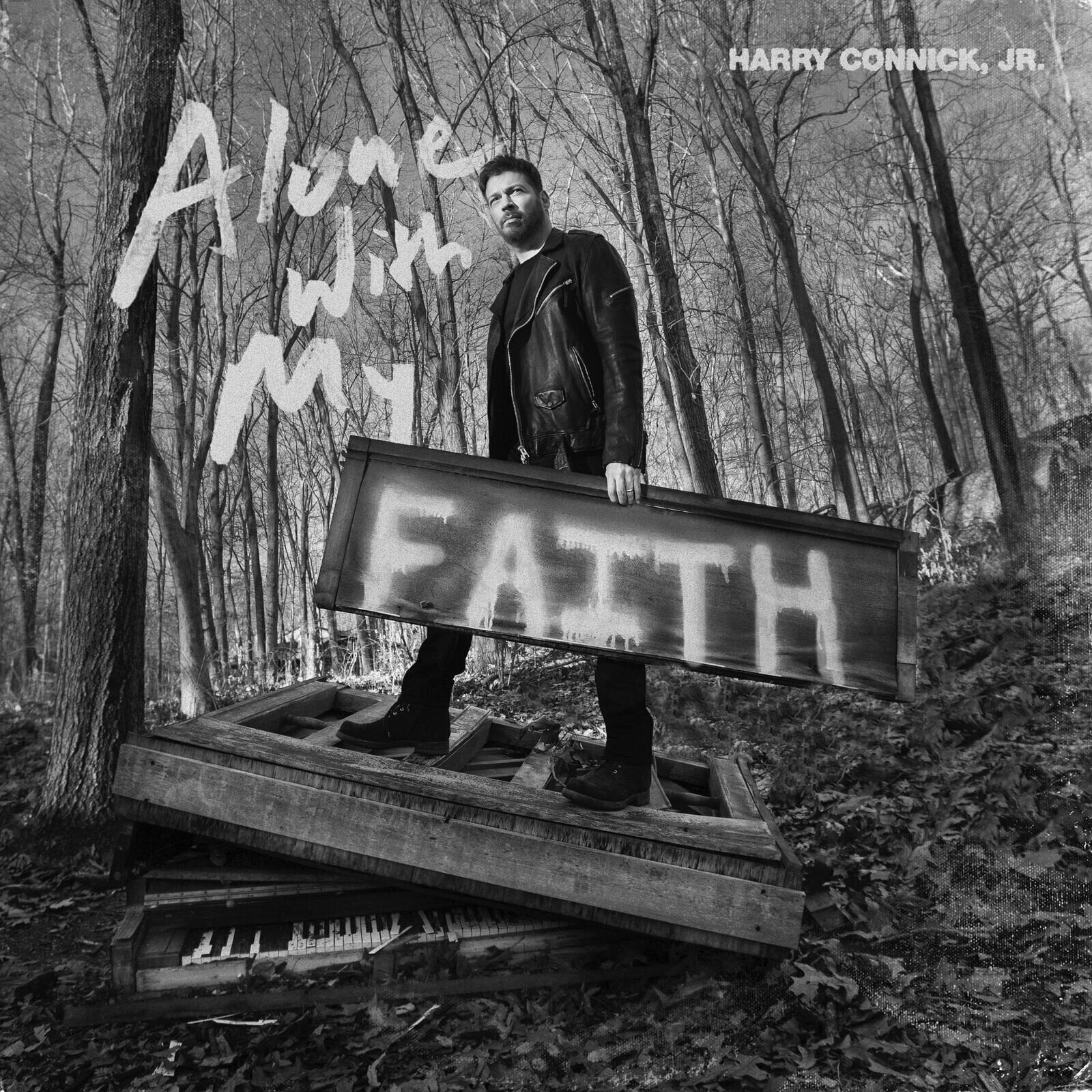 Vinyl Record Harry Connick  Jr. - Alone With My Faith (LP)