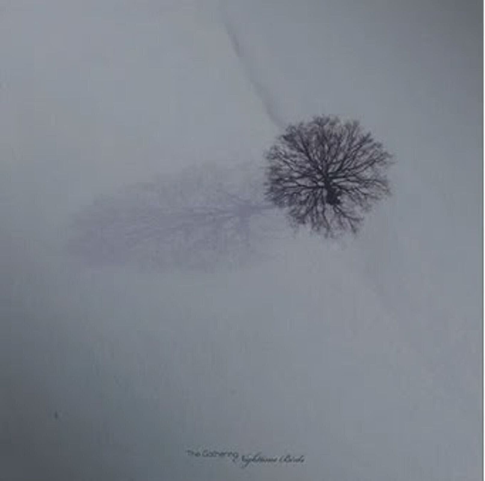 LP plošča The Gathering - Nighttime Birds (Reissue) (LP)