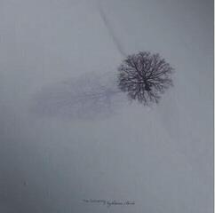 LP plošča The Gathering - Nighttime Birds (Reissue) (LP)