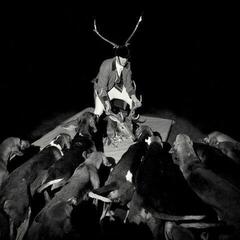 Vinyl Record Les Marquises - A Night Full Of Collapses (LP)