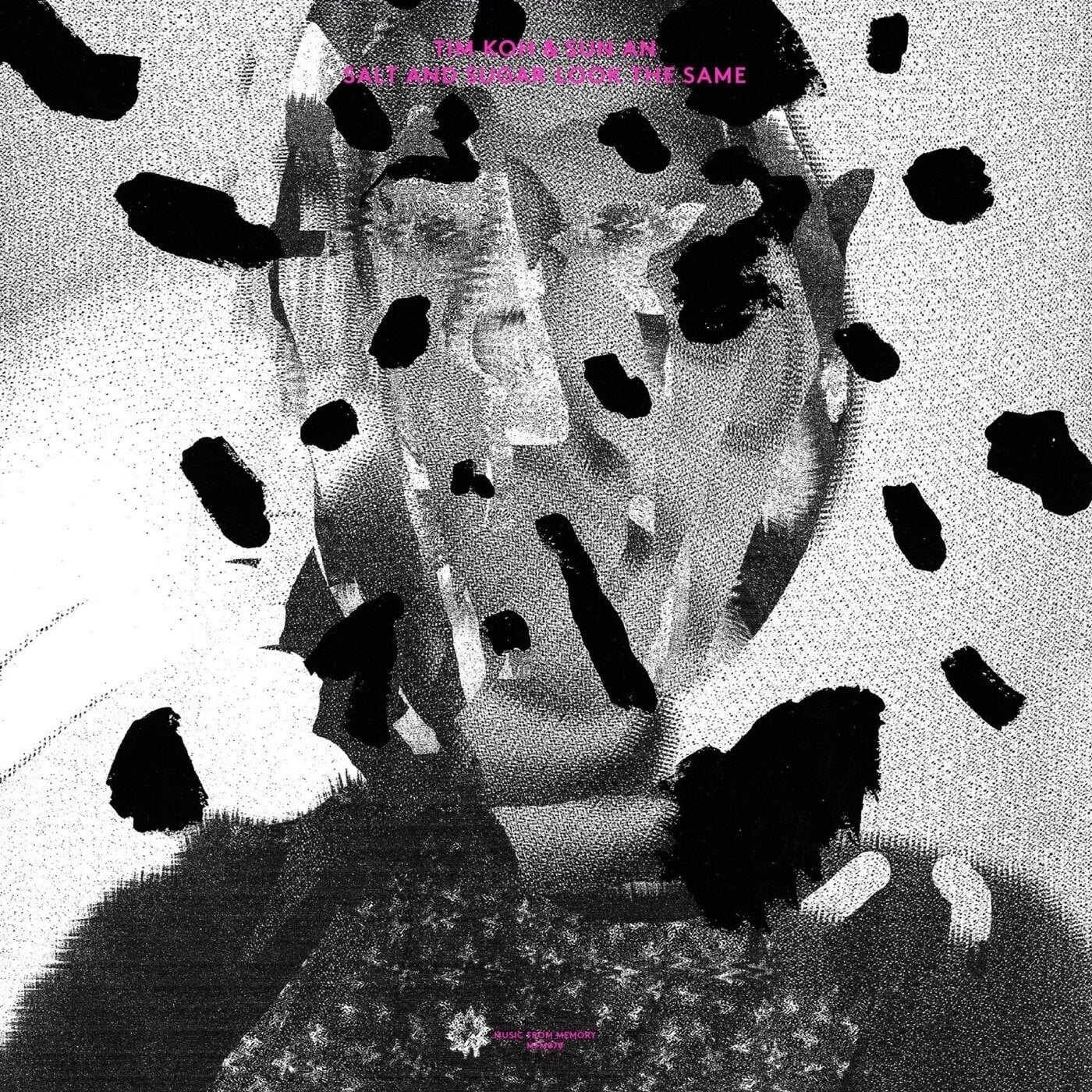 LP plošča Tim Koh & Sun An - Salt And Sugar Look The Same (LP)