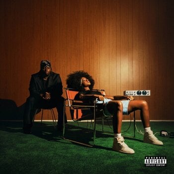 Disque vinyle Blk Odyssy - Mood Control (Green/Brown/White Coloured) (LP) - 1