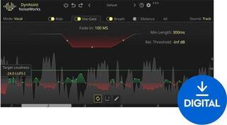 Studiový softwarový Plug-In efekt NoiseWorks DynAssist (Digitální produkt)