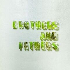 LP deska Desmond Myers - Brothers And Fathers / Hydrangeas (Special Edition) (LP)