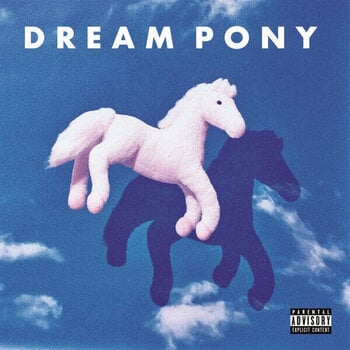 LP ploča Dream Pony - Suspicion Today (LP) - 1