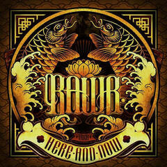Disque vinyle Rawb - Here and Now (LP)