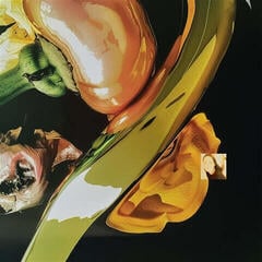 LP plošča Pablo's Eye - The Light Was Sharp, Our Eyes Were Open (LP)