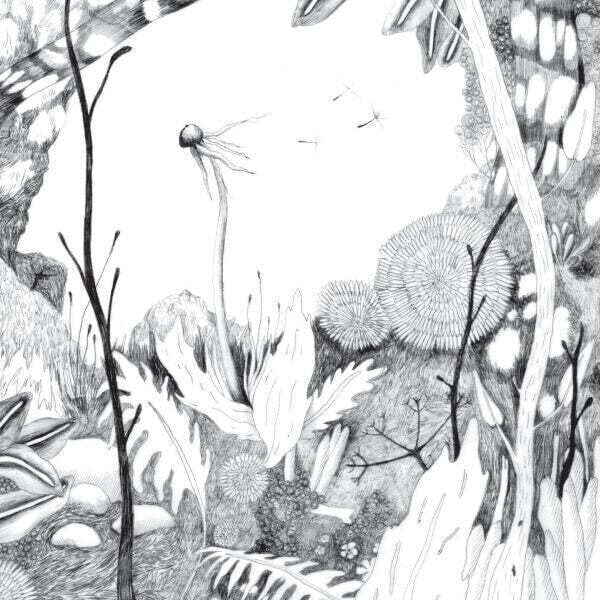 Vinyl Record Back And Forth - Time Whispers (LP)