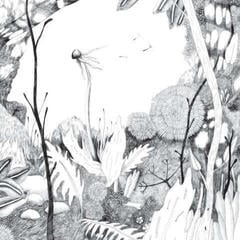 Vinyl Record Back And Forth - Time Whispers (LP)