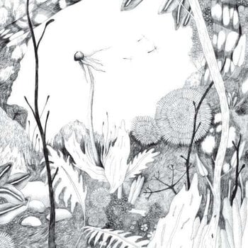 Vinyl Record Back And Forth - Time Whispers (LP) - 1