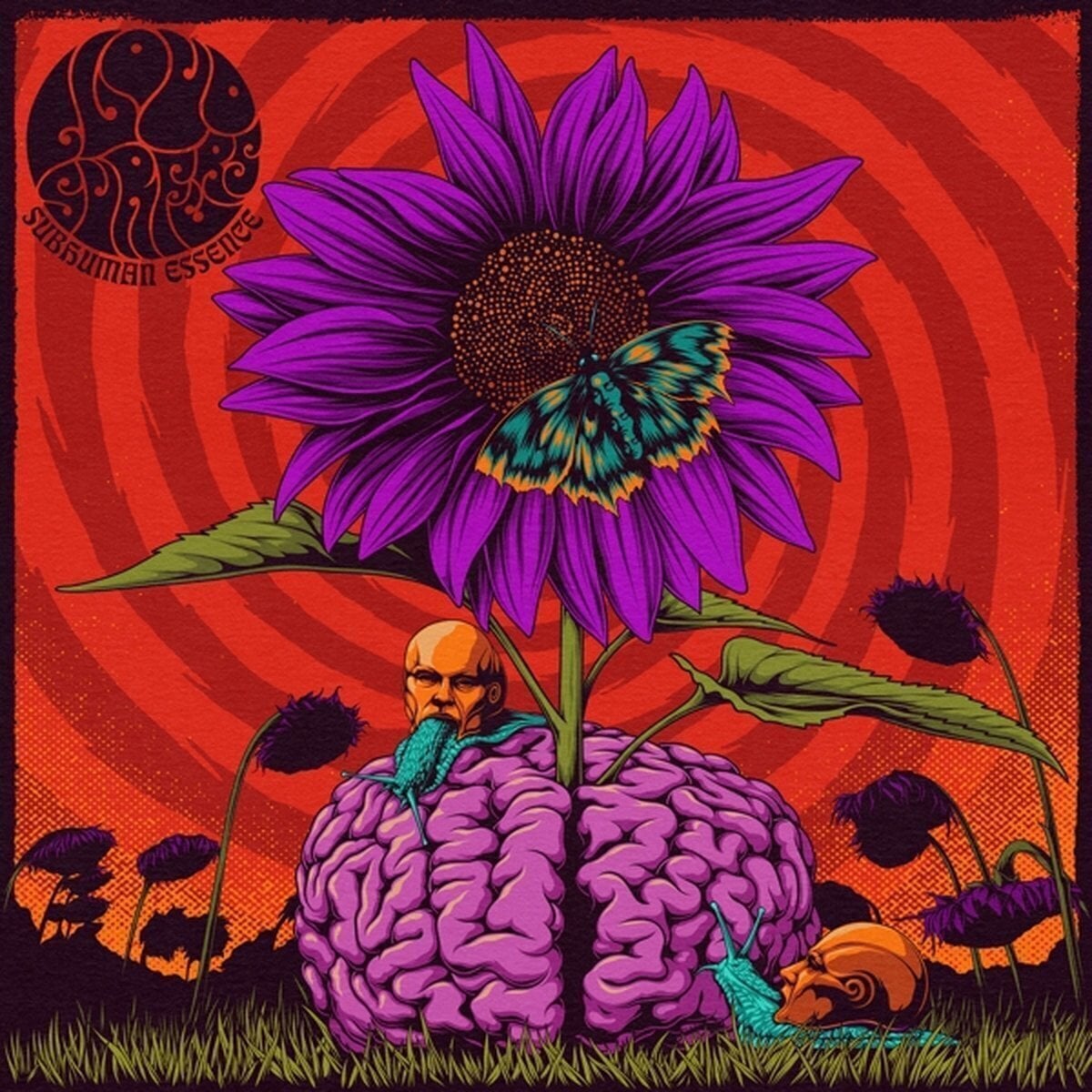 Vinyl Record Cloudsurfers - Subhuman Essence (LP)