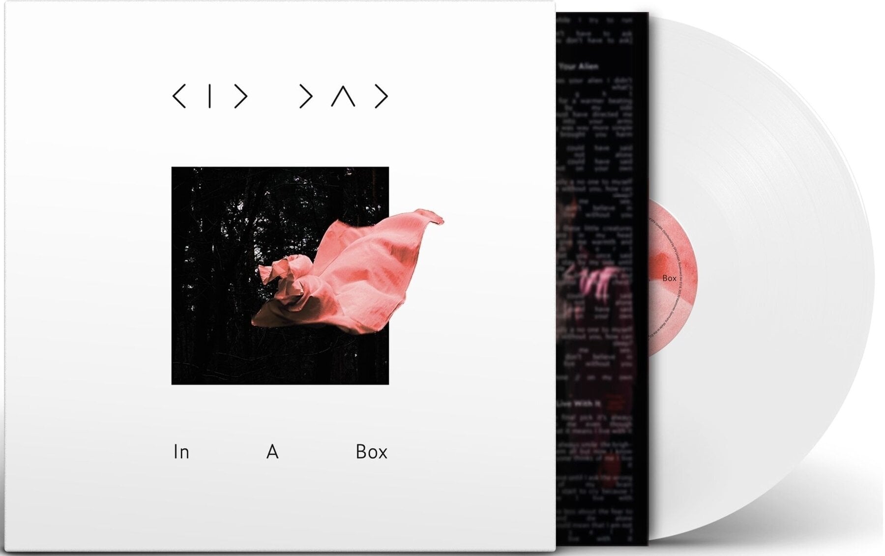 Vinyl Record Kid Dad - In A Box (LP)