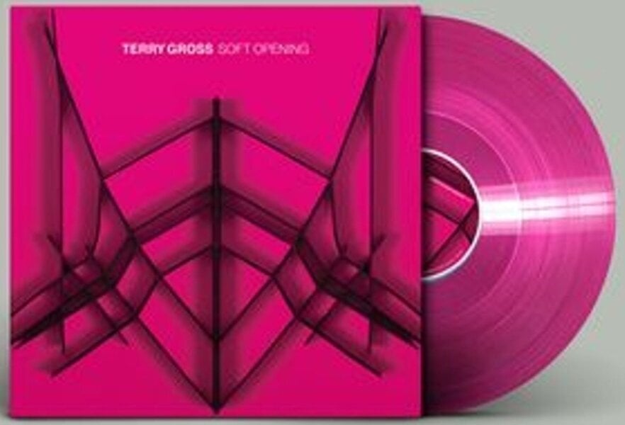 Vinyl Record Terry Gross - Soft Opening (Limited Edition) (Translucent Pink Coloured) (LP)