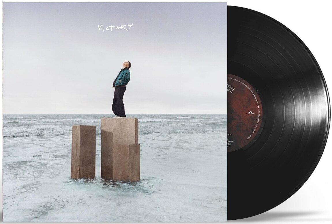 LP deska Cian Ducrot - Victory (LP)
