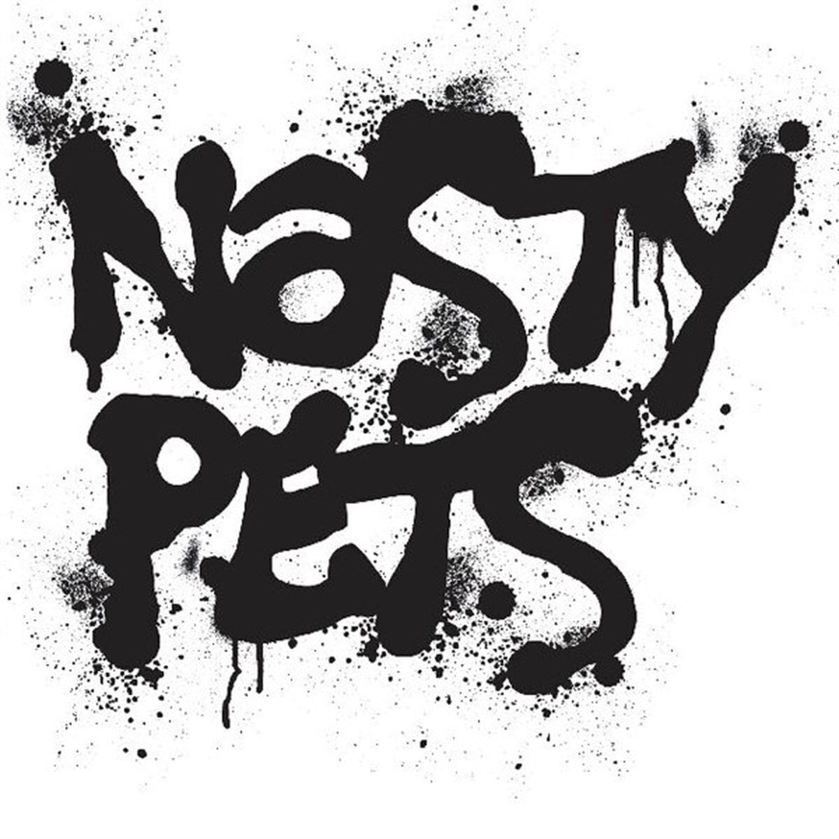 LP deska Nasty Pets - Nasty Punk 1979 (LP)