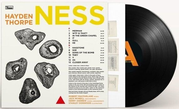Vinyl Record Hayden Thorpe - Ness (Black Biovinyl Coloured) (LP) - 1