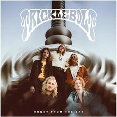 Vinyl Record Tricklebolt - Money From The Sky (Limited Edition) (Clear Coloured) (LP)