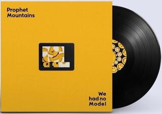 Vinyl Record Prophet - We Had No Model (LP)