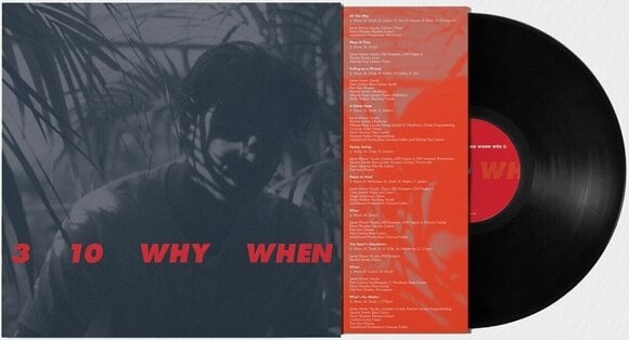 Vinyl Record Jamie Woon - 3 10 Why When (LP) - 1