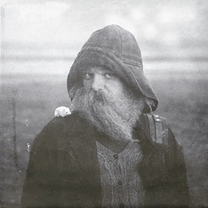 Musik-CD Mary In The Junkyard - Role Model Hermit (CD)