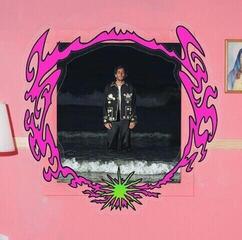 Vinyl Record Hether - Holy Water (Cloudy Pink/Green Coloured) (2 LP)