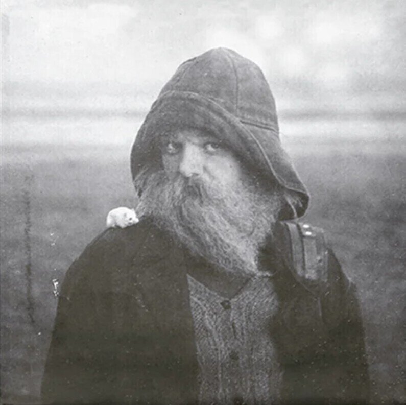 Вінілові платівки Mary In The Junkyard - Role Model Hermit (LP)