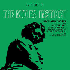 Vinyl Record The Moles - Instinct (Green Coloured) (LP)