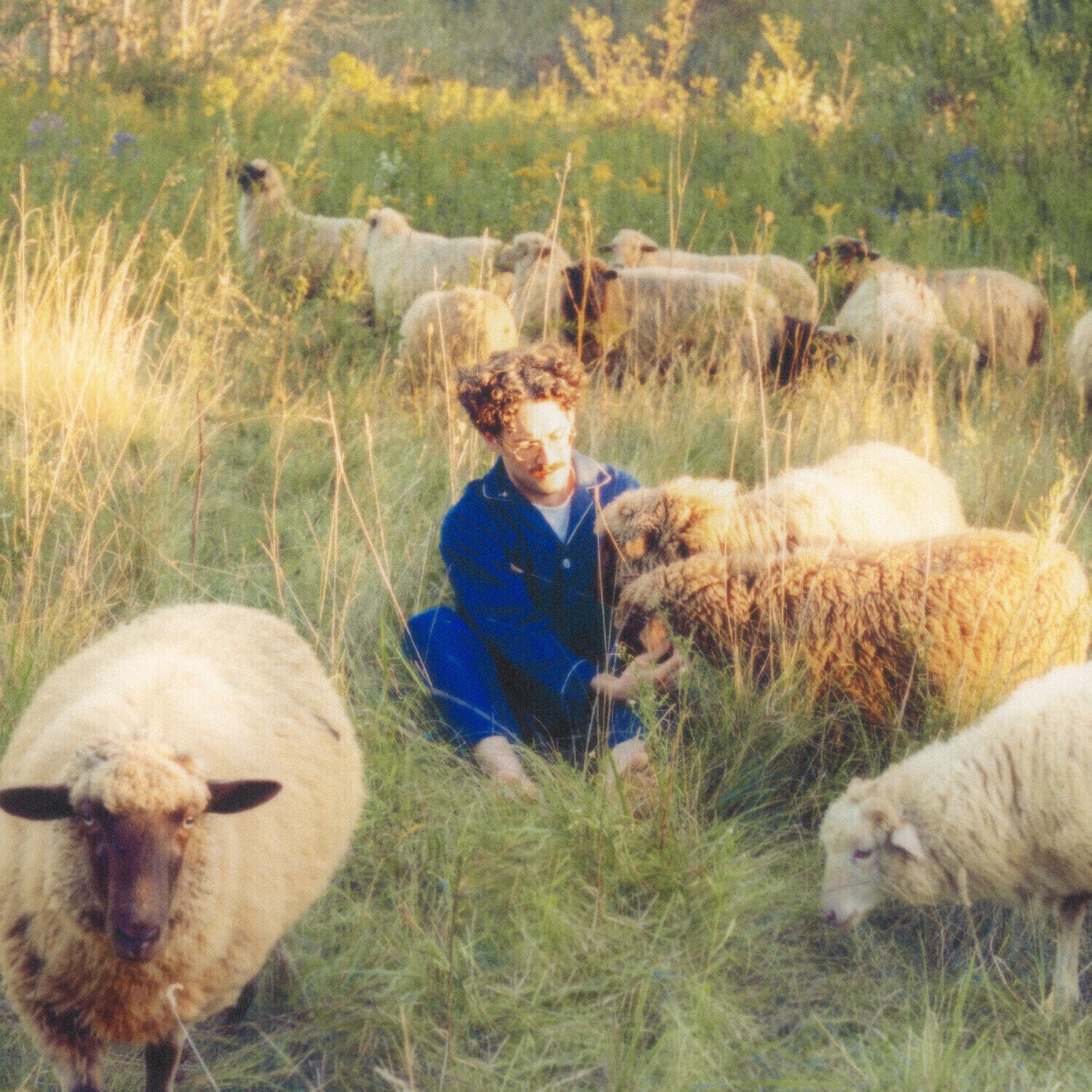 Vinilinė plokštelė Resavoir - Themes For Dreams (LP)