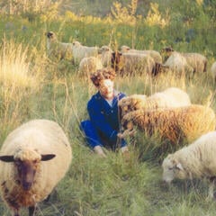 Вінілові платівки Resavoir - Themes For Dreams (LP)